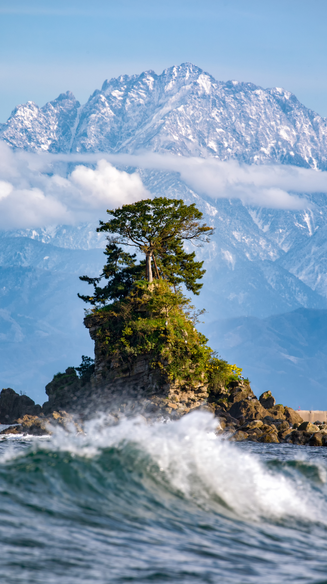 富粋 TOMIKI メインビジュアル